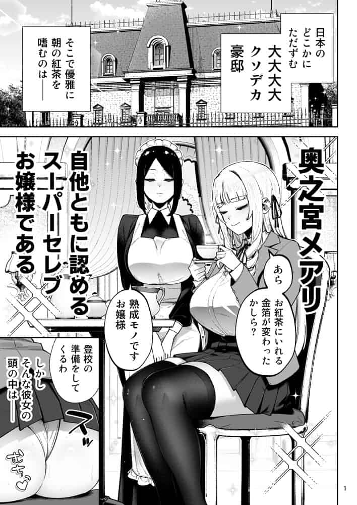それゆけ、エロバカお嬢様！ 〜セレブの私がデカチン庶民を手籠めにするのは当然です！〜