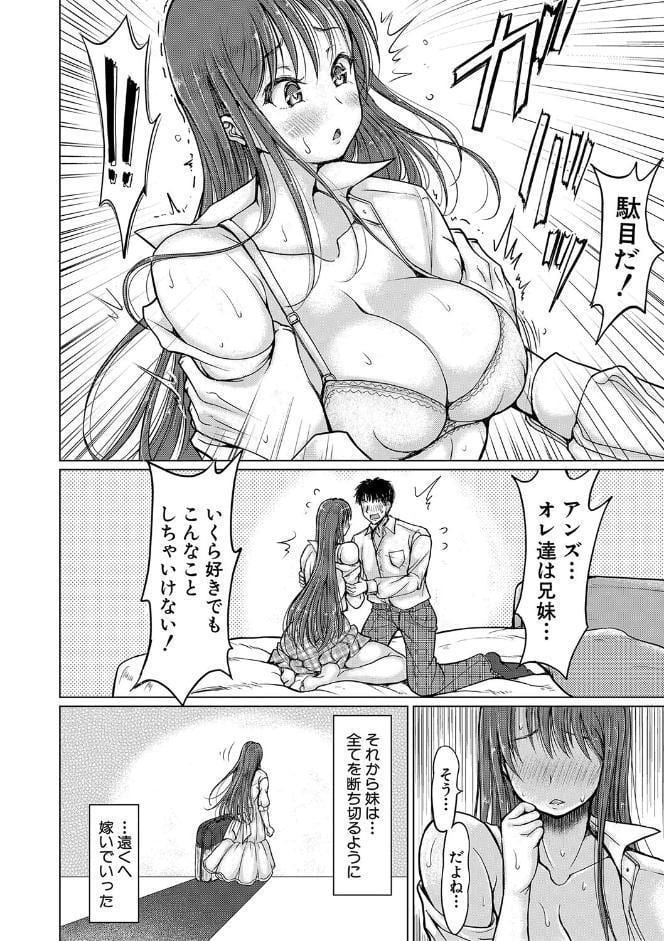 姪っ子も妹も性欲が強すぎて膣内射精希望【電子版特典付き】