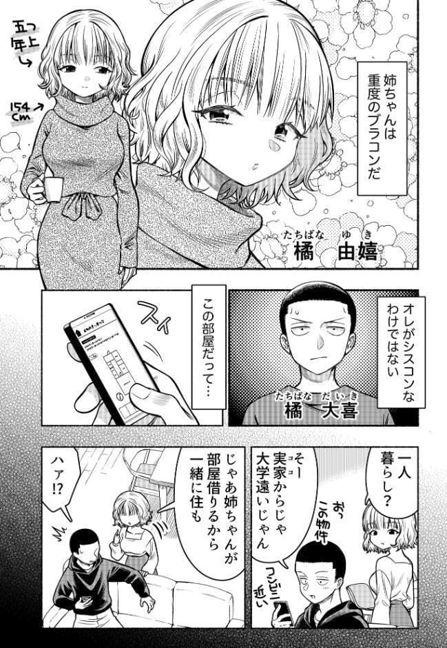 同棲してる姉と弟 〜一線を越えた夜〜