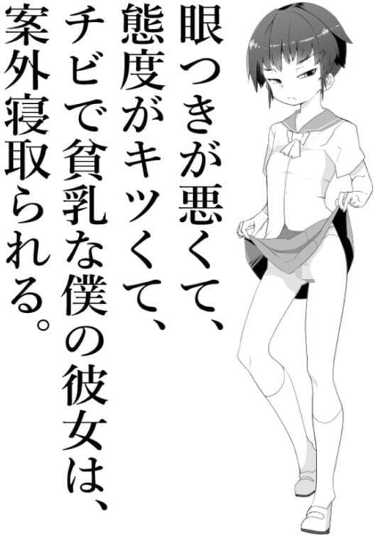 目つきが悪くて、態度がキツくて、チビで●●な僕の彼女は案外寝取られる。〜色々NTR序章〜 モザイク版