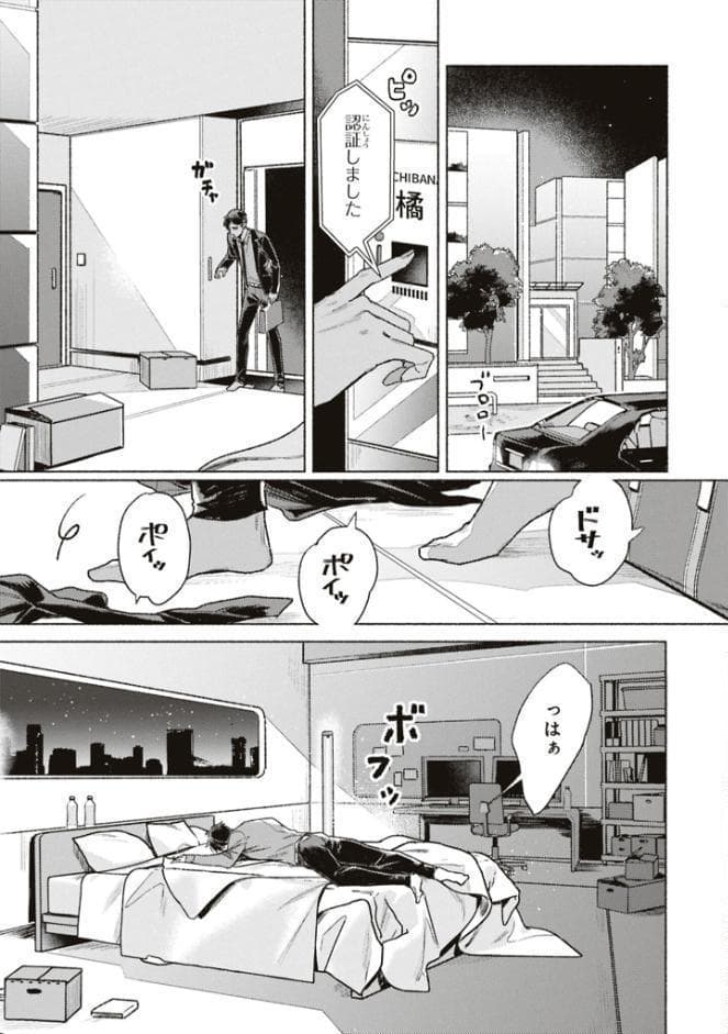 【成人向特典付き】タイプ・エイド