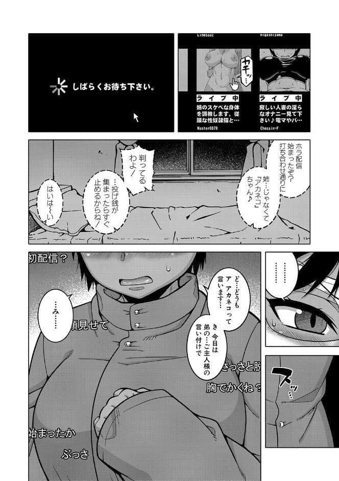 ちょっと美人で胸がデカくてエロいだけのバカ姉ぇ【1話立ち読み付き】