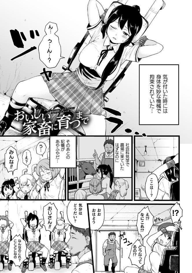 ナマイキえいきゅー機姦【電子書籍限定版】