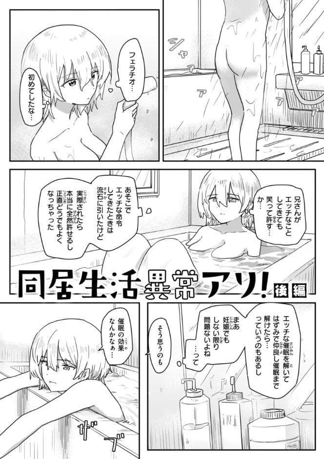 常識改変による性交の実践