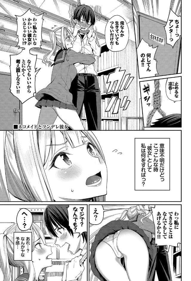 めちゃくちゃシタい【デジタル特装版】【FANZA限定版】