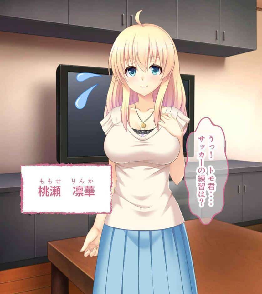 簡単即ヤリ性玩具たち 〜反抗するなら種付けで罰するよ？〜【CG集コレクション】 モザイク版