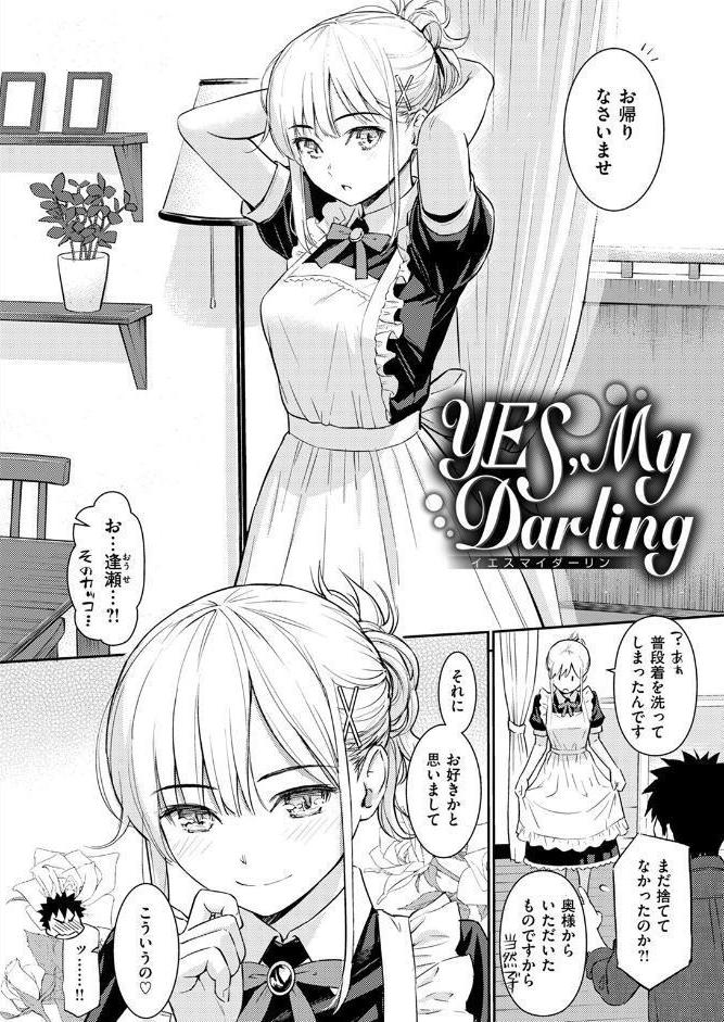 YES，My Darling