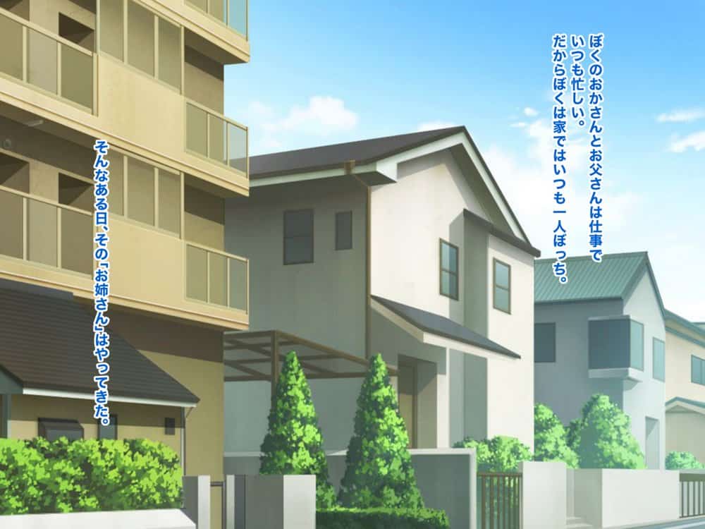 ぼくとお姉さんのヒミツ遊び1.5