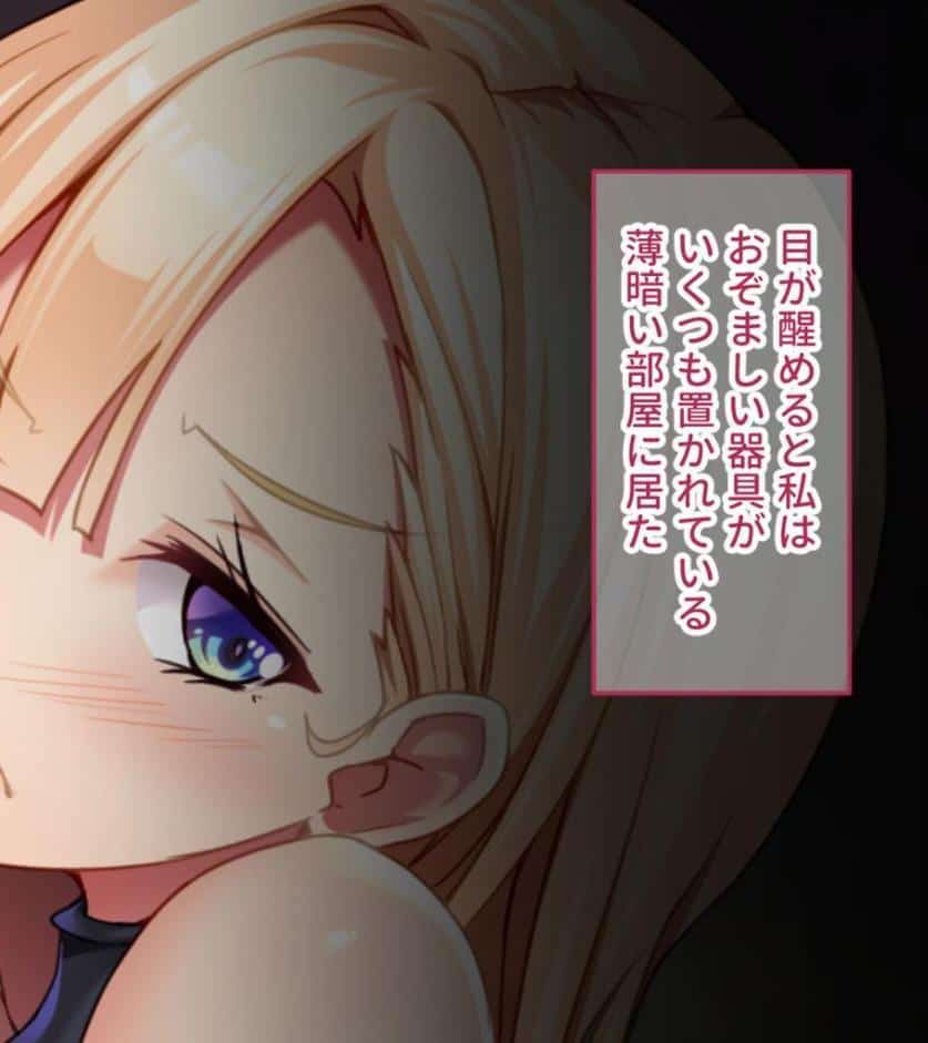 くのいち捕縛録〜責め苦と催●で暴く、女の理性と隠された秘密〜 モザイク版