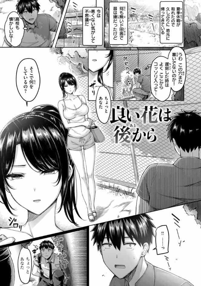 パイらびゅ！