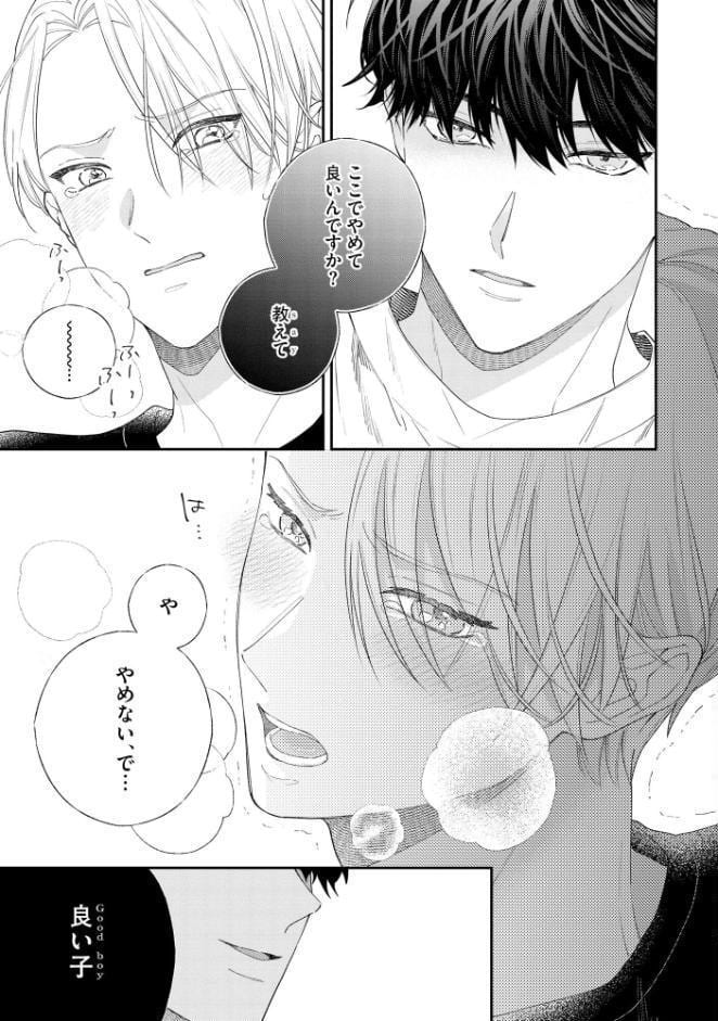 褒められたいのはSubのせい？【極】 【電子限定かきおろし漫画付】