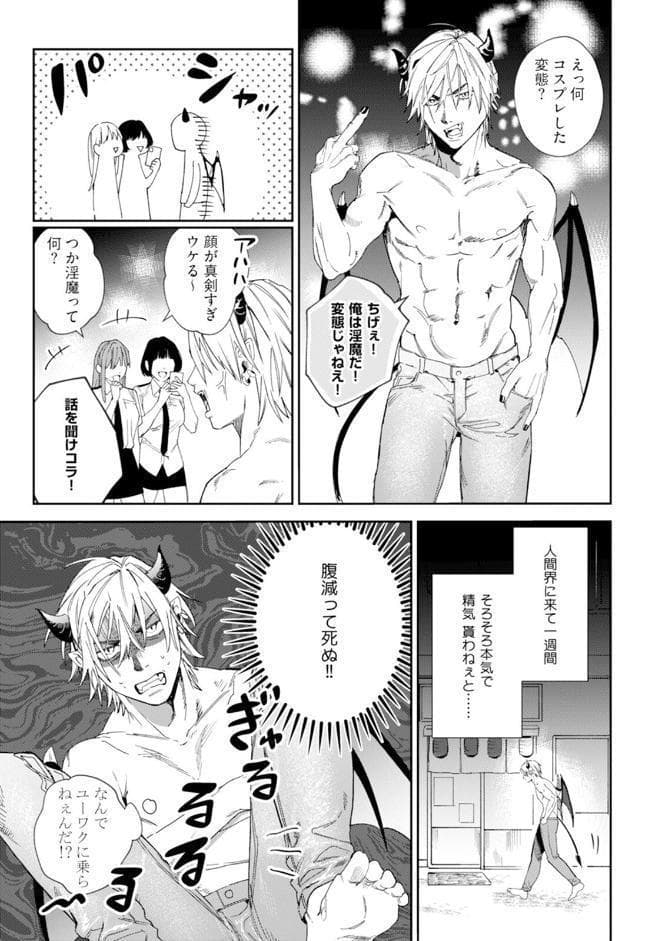 淫魔の恋愛ノート【コミックス版】《R18版》