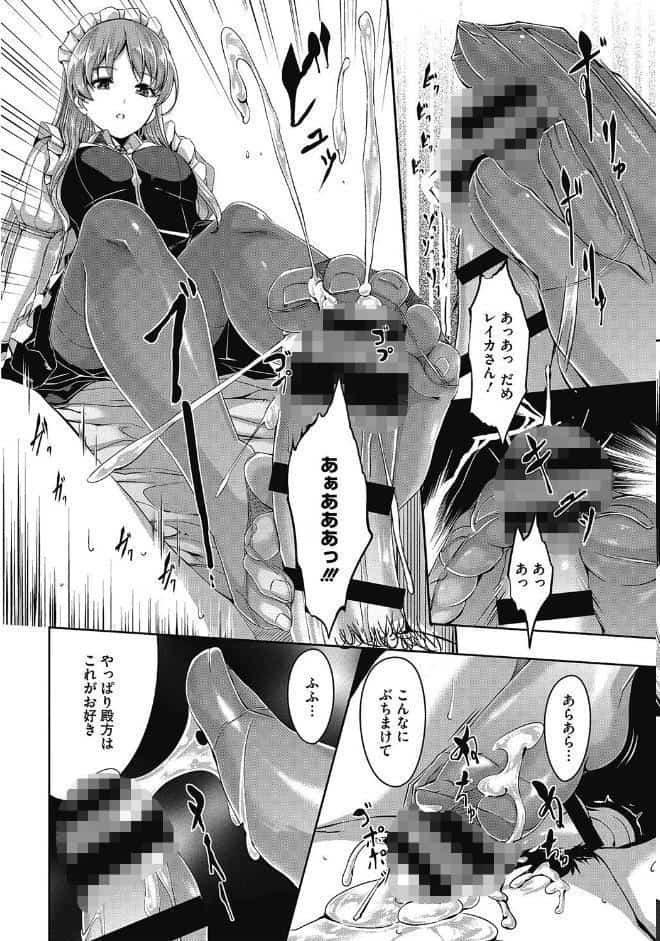 レイカは華麗な僕のメイド