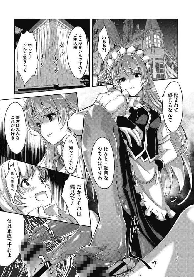 レイカは華麗な僕のメイド