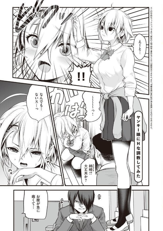 ヤンキー娘にHな調教してみた 【デジタル特装版】