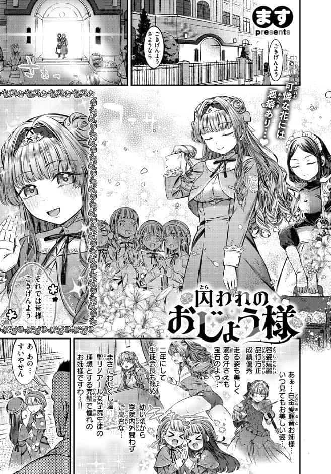 囚われのおじょう様