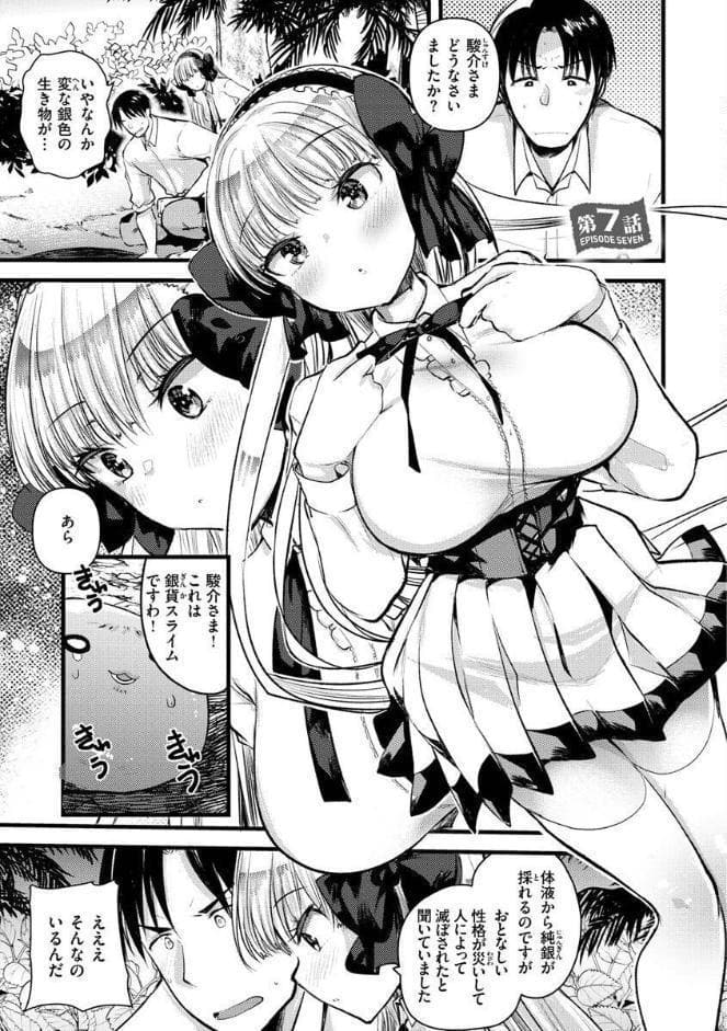 レベル1の姫騎士さんとゆるふわ無人島ライフ2