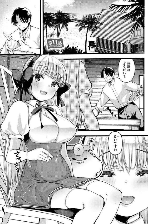 レベル1の姫騎士さんとゆるふわ無人島ライフ2