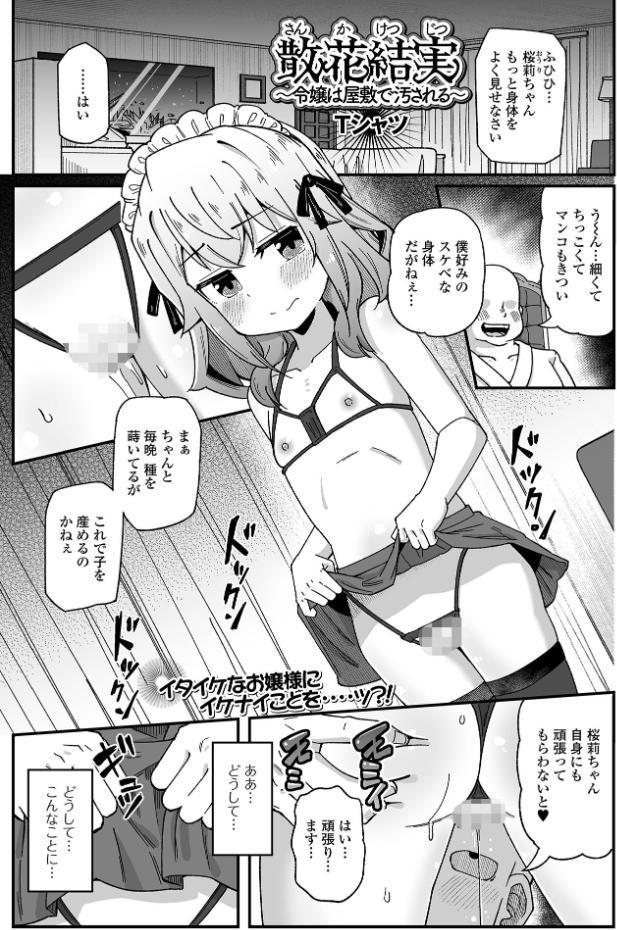 散花結実 〜令嬢は屋敷で汚される〜