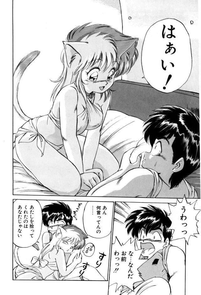 夢で逢えたら（1）
