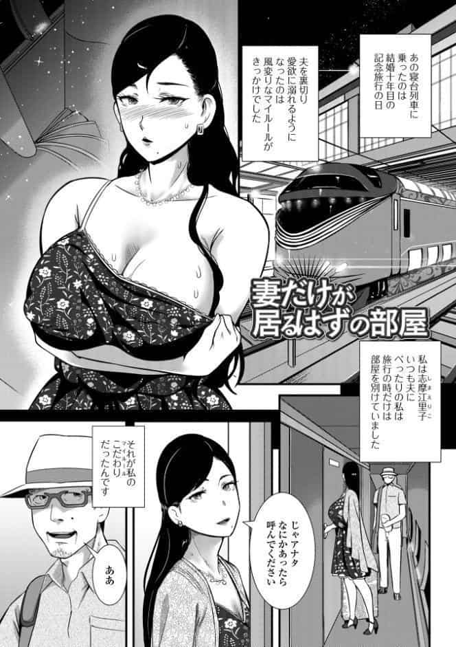 奥様は痴情に堕ちる流星
