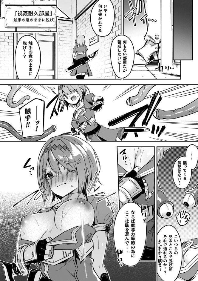 淫辱迷宮 〜エロトラップで乱れ咲く魔勇〜