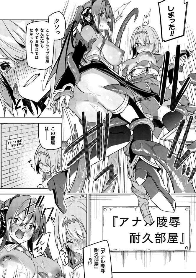 淫辱迷宮 〜エロトラップで乱れ咲く魔勇〜