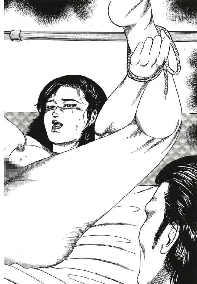 性獣夫人＜原画入り特装版＞・三条友美アンソロジー