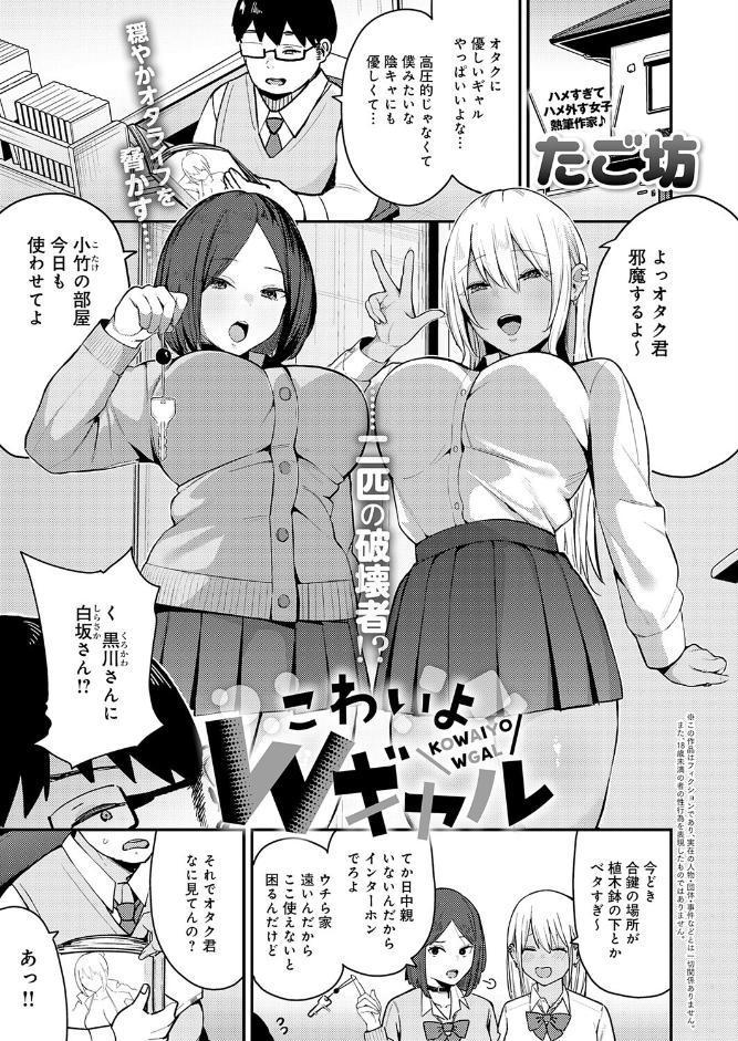 こわいよWギャル
