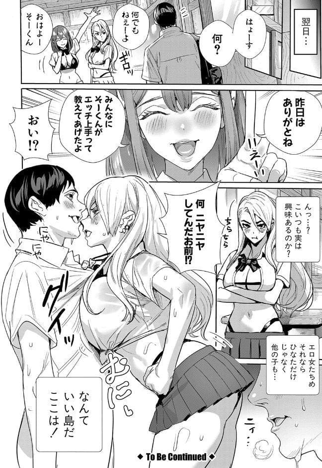 交尾島 ハメまくりたいドスケベJK達【電子版特典付き】【通常版】