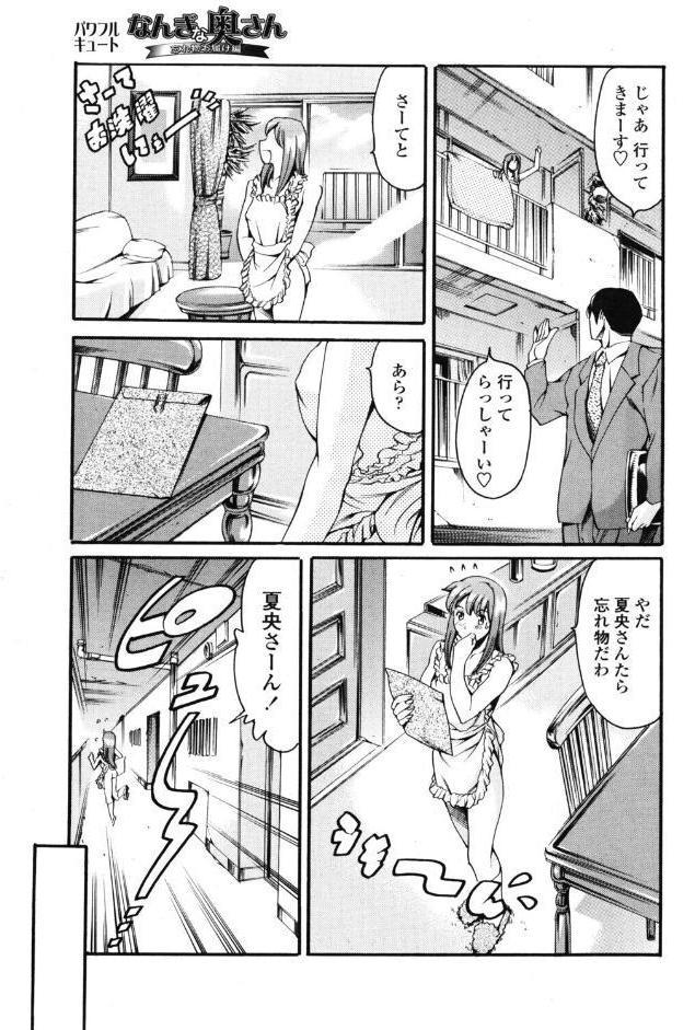 なんぎな奥さん 忘れ物お届け編