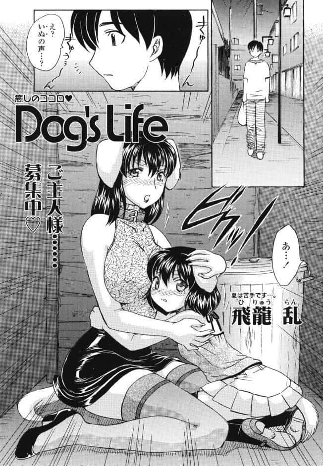 Dog’s Life