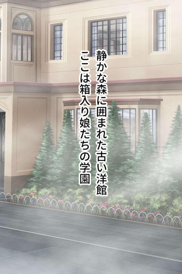 ゲス男どもは制服女をどっぷり孕ませたい 〜生意気も清純も等しく侵食ハメ〜【CG集コレクション】 モザイク版