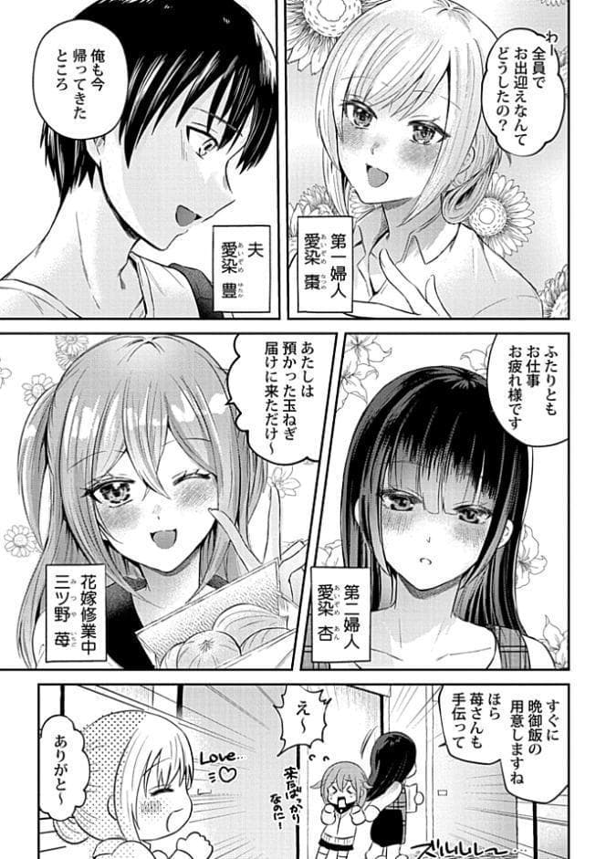 ウチの花嫁たちは今日も可愛い1-4【合冊版】