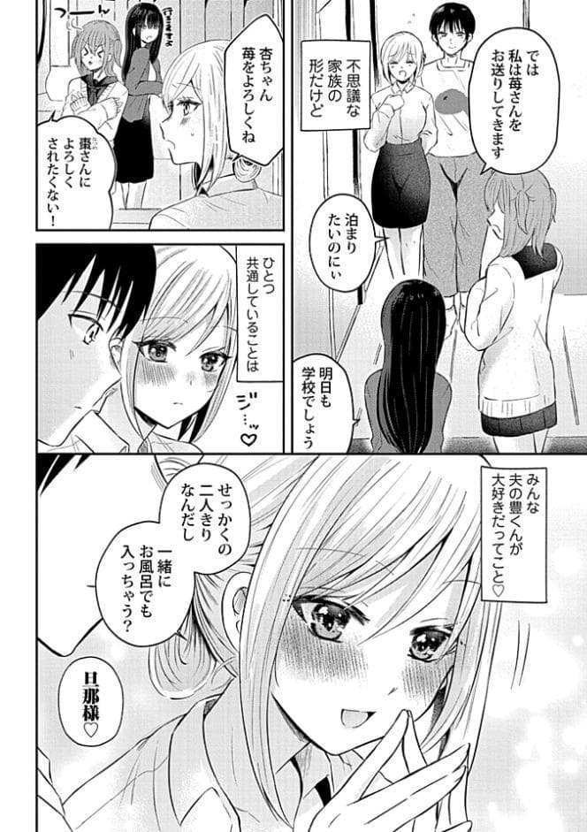 ウチの花嫁たちは今日も可愛い1-4【合冊版】