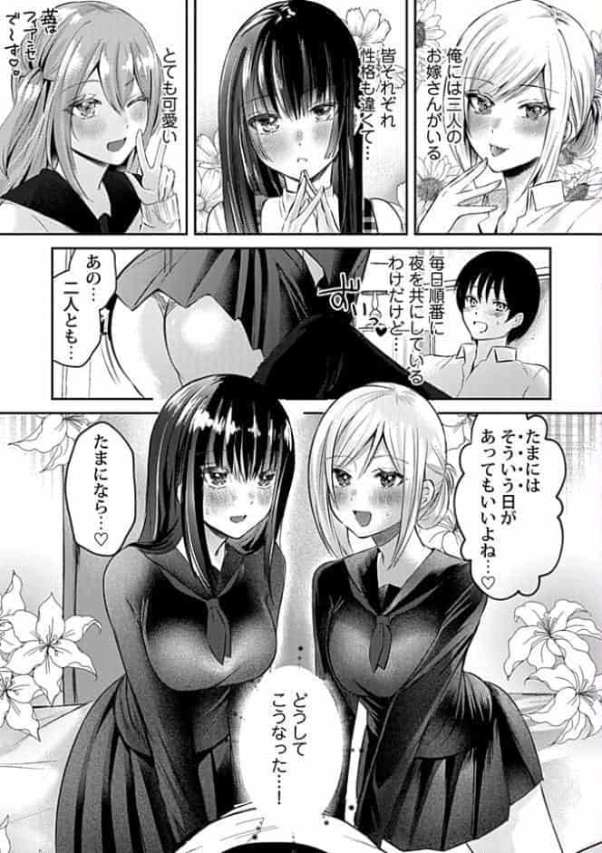 ウチの花嫁たちは今日も可愛い1-4【合冊版】