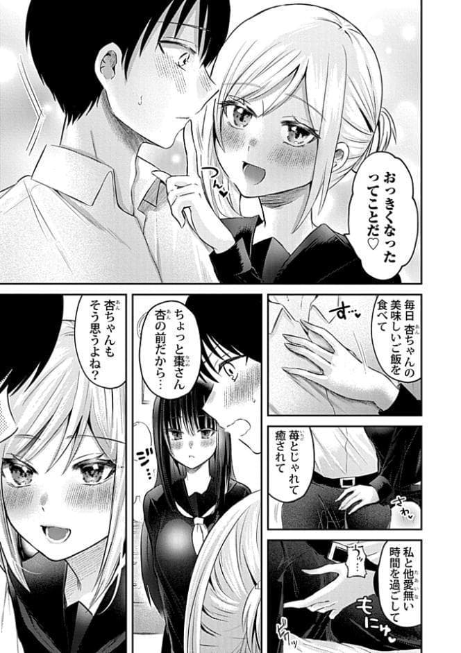 ウチの花嫁たちは今日も可愛い1-4【合冊版】