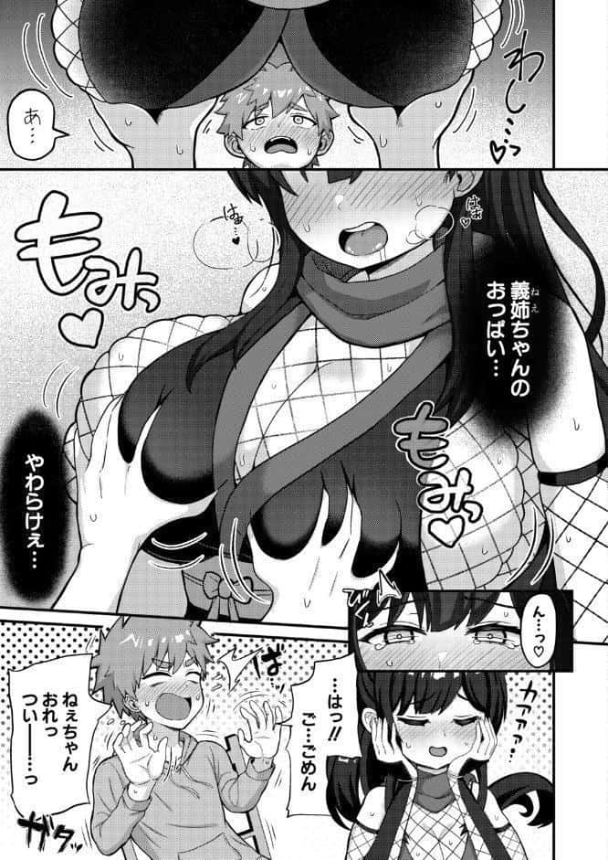 義姉忍者は義弟を愛でたい