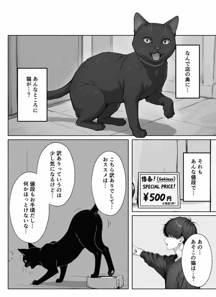 ぼくの猫は夜になるとギャルに変身する！？