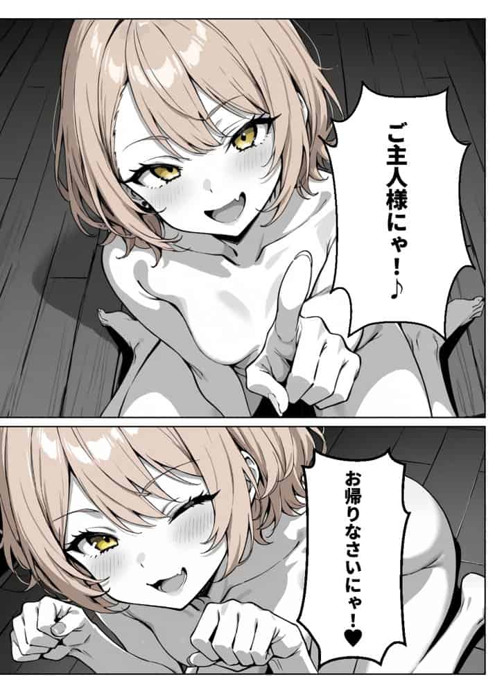 ぼくの猫は夜になるとギャルに変身する！？