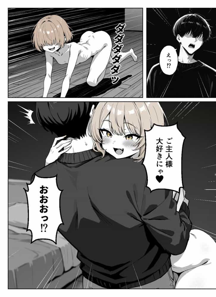 ぼくの猫は夜になるとギャルに変身する！？
