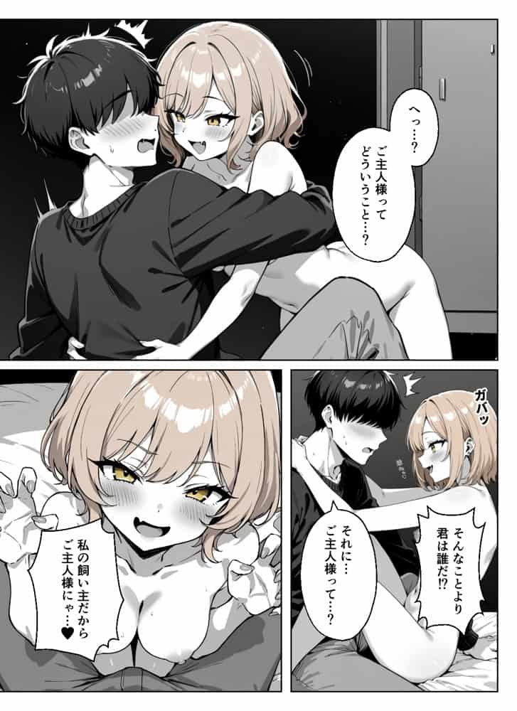 ぼくの猫は夜になるとギャルに変身する！？