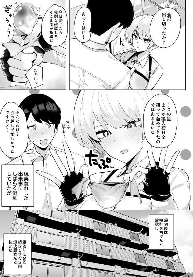 DISCIPLINE -搾精風紀委員会-