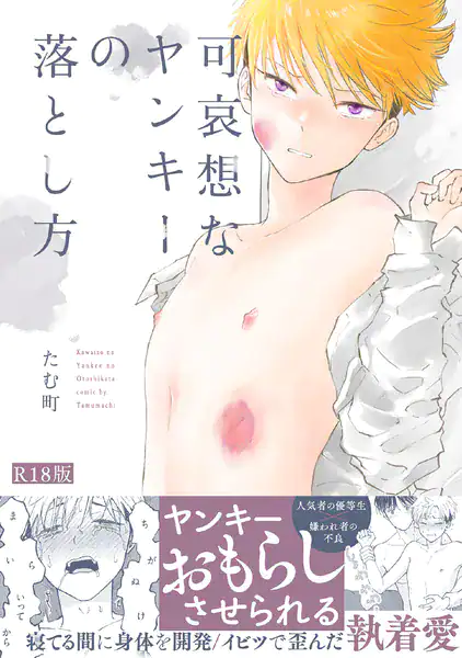 可哀想なヤンキーの落とし方《R18版》