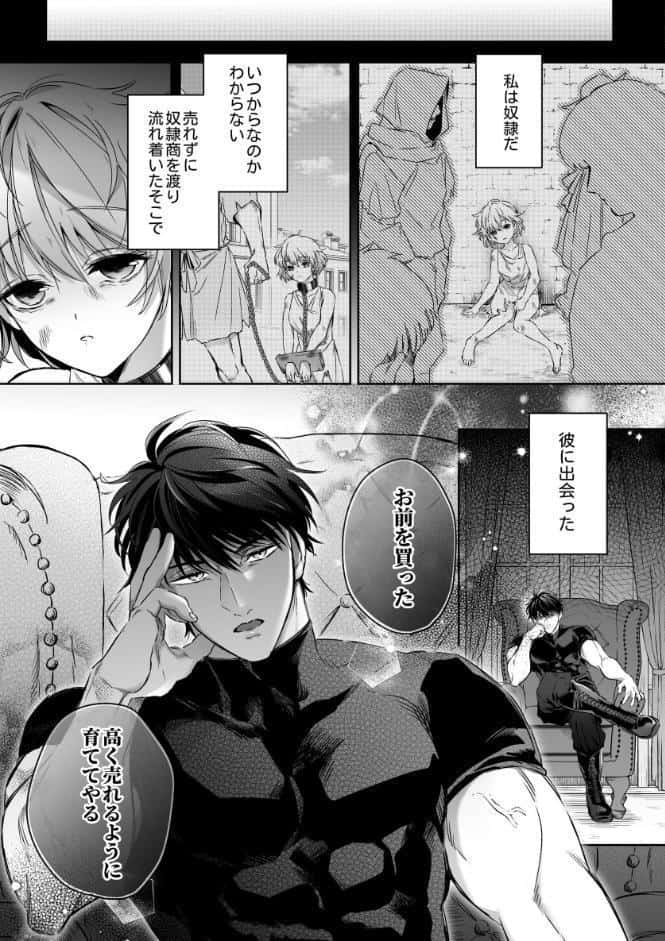 冷徹でドSな奴●商のご主人様はなぜか私を売ろうとしない【R-18版】【合冊版】