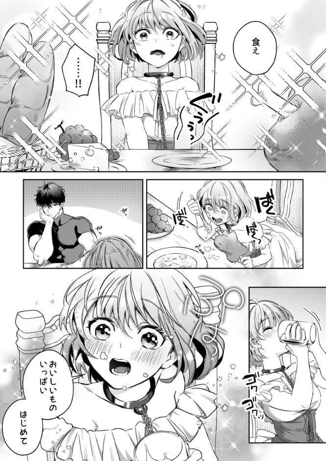 冷徹でドSな奴●商のご主人様はなぜか私を売ろうとしない【R-18版】【合冊版】