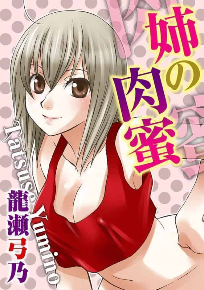 義姉とのふしだらなカンケイ〜親には内緒で気持ちいいこと〜（改訂版）