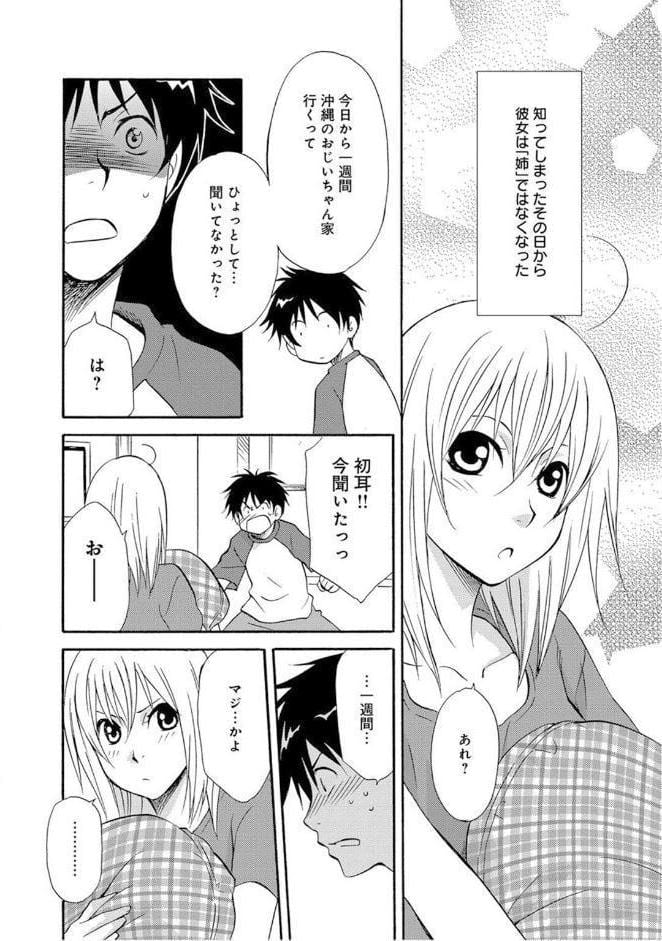義姉とのふしだらなカンケイ〜親には内緒で気持ちいいこと〜（改訂版）