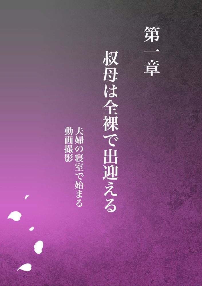 叔母真奈美  夫婦の寝室で同人AV撮影される  あこがれの叔母を寝取る3