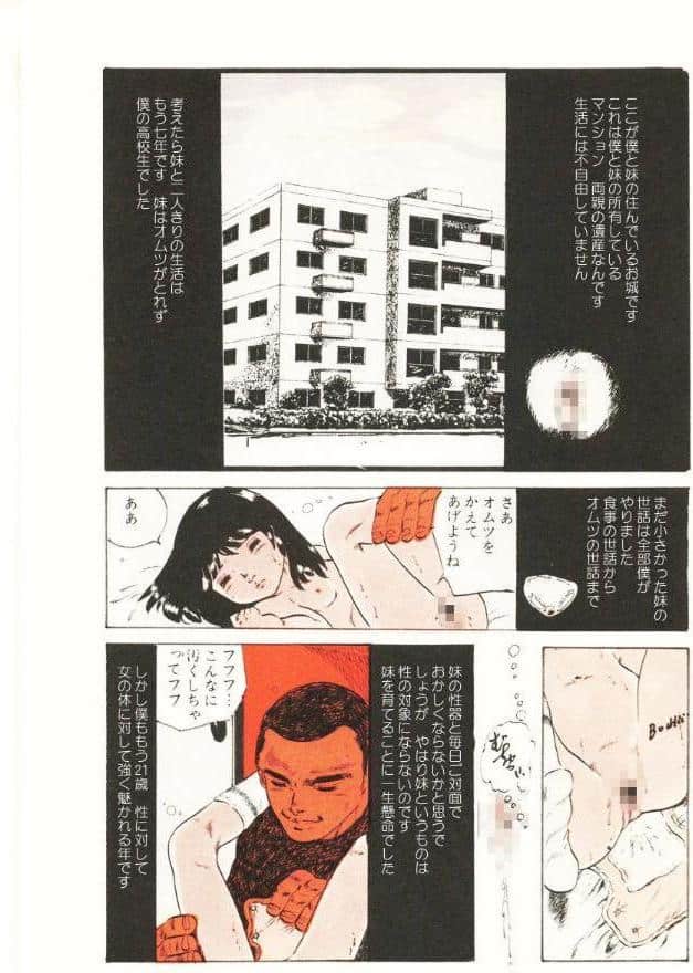 つかさの秘密【電子版特典付き】